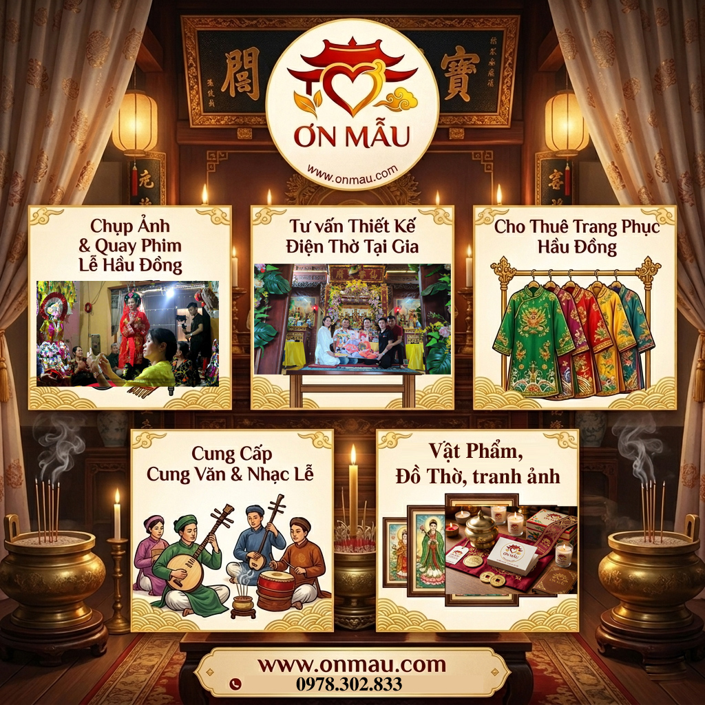 dich vu onmau.com3